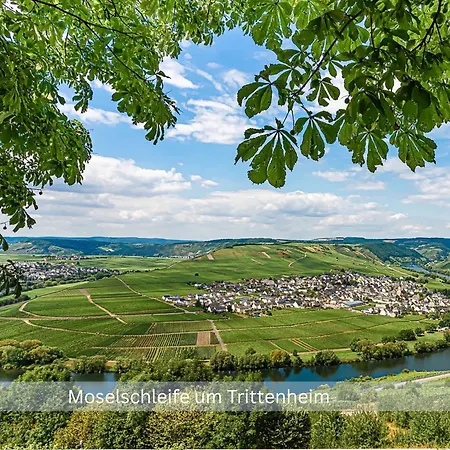Grafenwohnung Mit Grossem Dachgarten Im Gaestehaus Graf-schmelzer Trittenheim