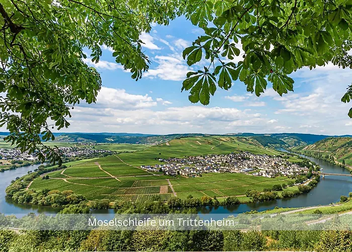 Grafenwohnung Mit Grossem Dachgarten Im Gaestehaus Graf-schmelzer 特里特海姆